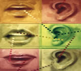 Fonoaudiologia em Jaú